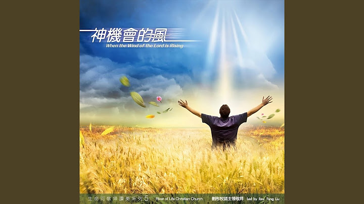 你的爱不离不弃 - 天天要闻