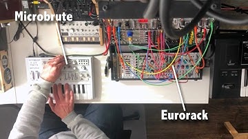 Eurorack & Microbrute Jam (TX Wiggles 55)