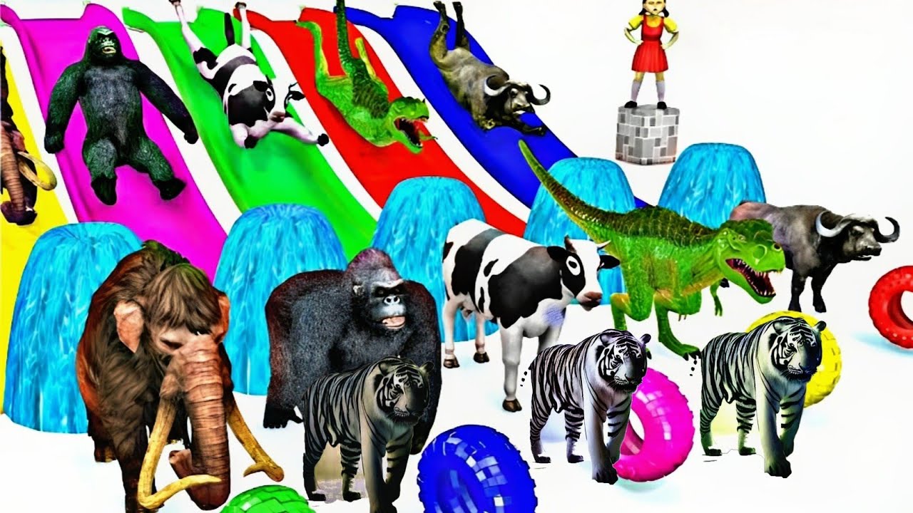 Fountain crossing transformation with tiger,gorilla Dinosaur, | TILO kids TV