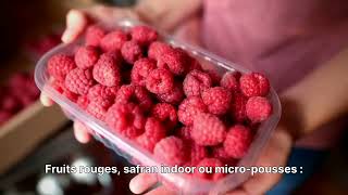 🏆 CONSULTANT INTERNATIONAL EN HYDROPONIE | SERRES HIGH-TECH | VERTICAL FARMING | AFRIQUE &amp; GOLFE