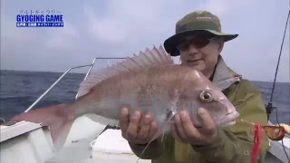 タイラバ　最終 タイラバ & ジギング in 玄界灘！＠セカンドステージ久丸 1/2