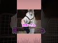 お馬さんが調教後にゴロゴロする理由がコチラ!