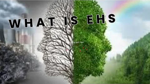 What is EHS? | Environment, Health & Safety Explained