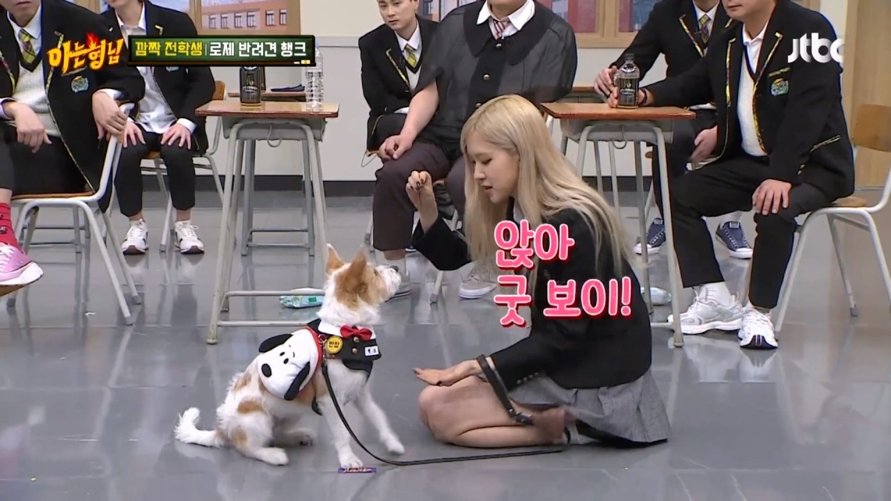 혜리랑 로제와 행크