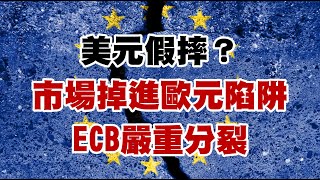 美元假摔？市場掉進歐元陷阱 ECB嚴重分裂  20230302《楊世光在金錢爆》第3052集