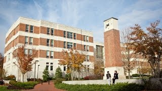 Why You Should Join a Fellows Program at Smith