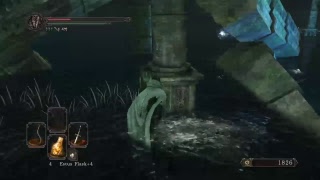 Skunk Souls 2