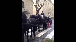 San Antón 2013. San Lorenzo de El Escorial