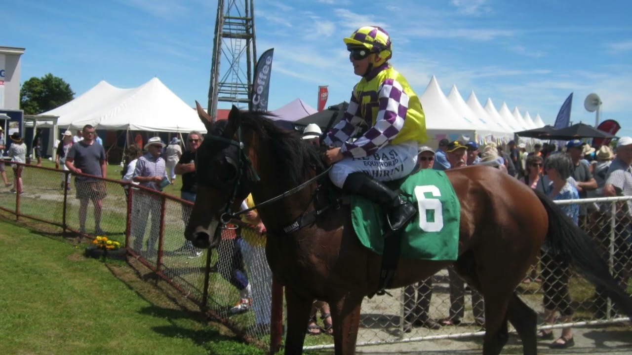 Value Betting Horse Racing System #bettingsystem #horseracingbetting