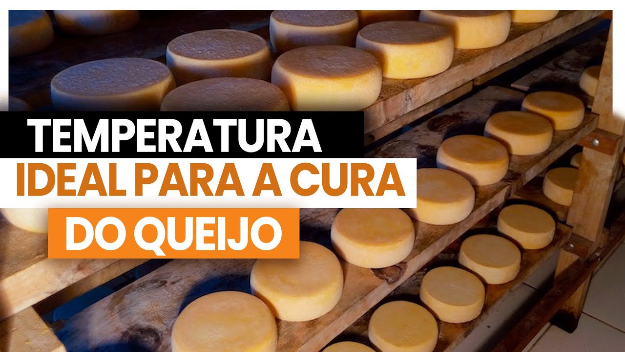 Como Curar Queijo e Qual a Temperatura Ideal? Comunidade do Queijo