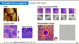 Toroidal topology and its manipulation in ferroelectric polymers