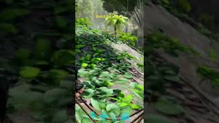 ark mobile anaconda attack for me#arkgameplay