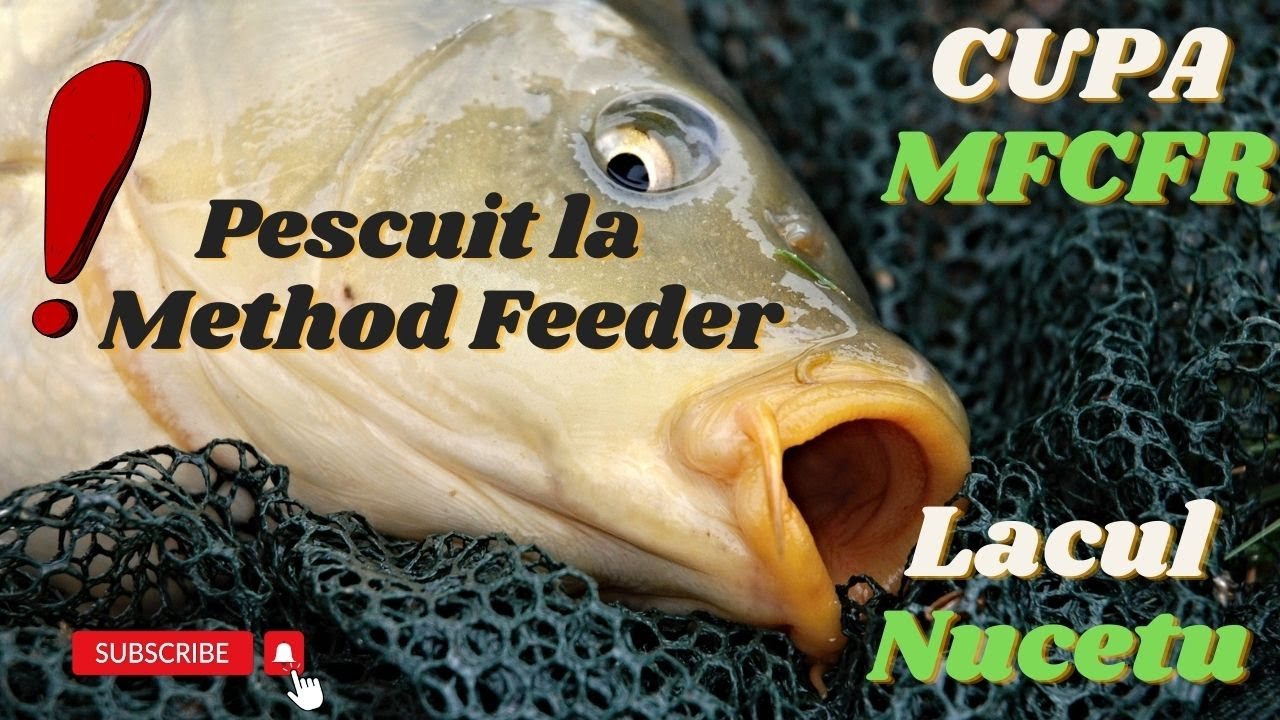Am reusit oare sa ma calific? Finala turneului MFCFR- Regiunea SUD! Pescuit la method feeder!