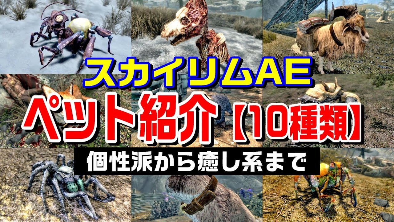 スカイリム ペット おすすめ