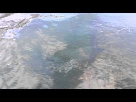 Fast current over the Cahaba River old slab