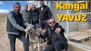 BARIŞ ÇİÇEK VE KANGALLARINI ZİYARETE GİTTİK