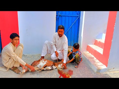 Bakra zibha karny ka makamal tariqa | Bakra cutting in handi - YouTube