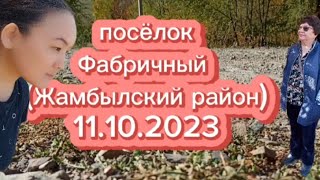 видео: Родные места мамы, Каргалы (п.Фабричный) / Fabrichni village ENG /RUS картинка: Родные места мамы, Каргалы (п.Фабричный) / Fabrichni village ENG /RUS