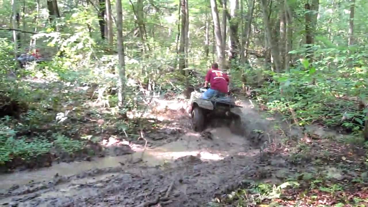 Bear Swamp Ride Big Bear 400 swamp riding - YouTube