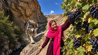 🍇🐺 Zeynab’s Wild Mountain Adventure! Picking Grapes, Facing a Wolf & Bats in the Zagros Mountains 😱