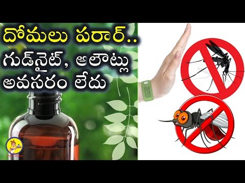 homemade-mosquito-repellent-right-from-your-garden-(telugu)-||-gruha-lakshmi