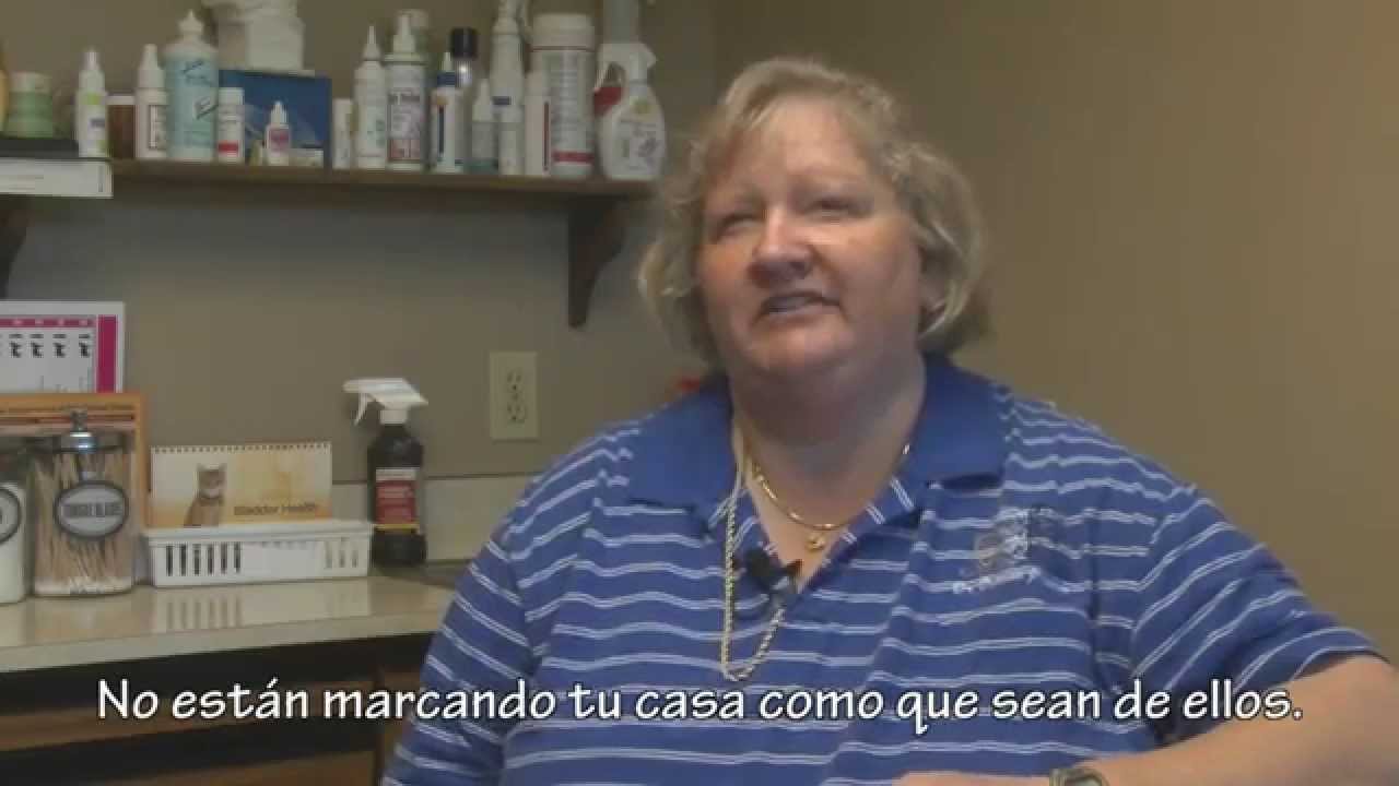 Watch Spay It Forward: How Spaying and Neutering Save Pets Lives video Watch Spay It Forward: How Spaying and Neutering Save Pets Lives video