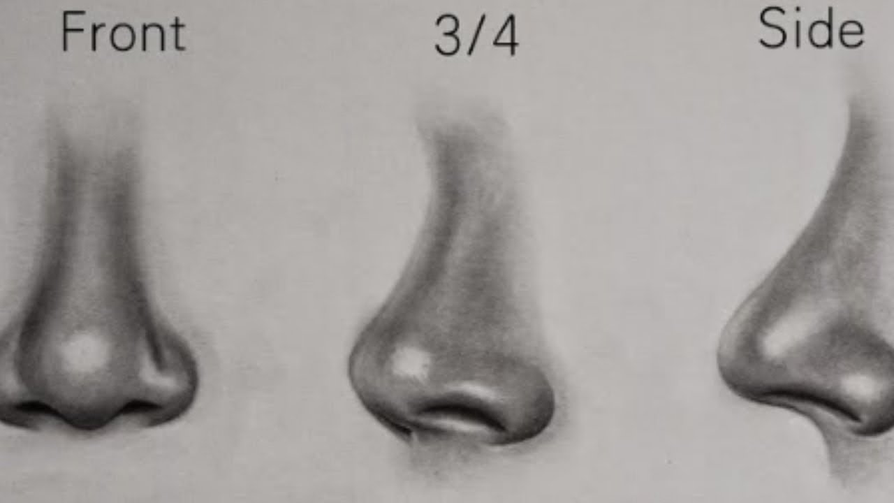 How to draw nose from different angles|step by step tutorial for beginners | bhartiartsindia