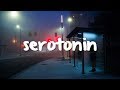 miro - serotonin // legendado
