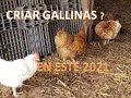 ANTES DE COMENZAR A CRIAR GALLINAS PONEDORAS   ***PASO A PASO    DESDE POLLITOS