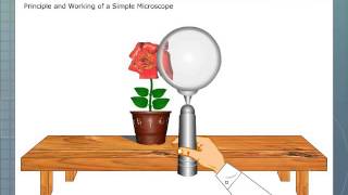 Simple Microscope
