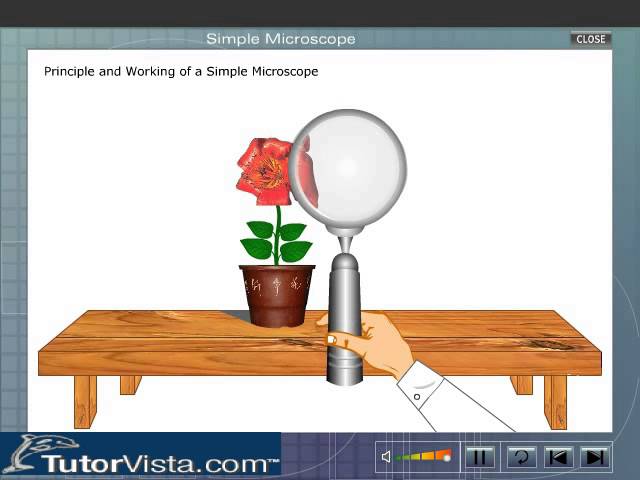 Simple Microscope Images