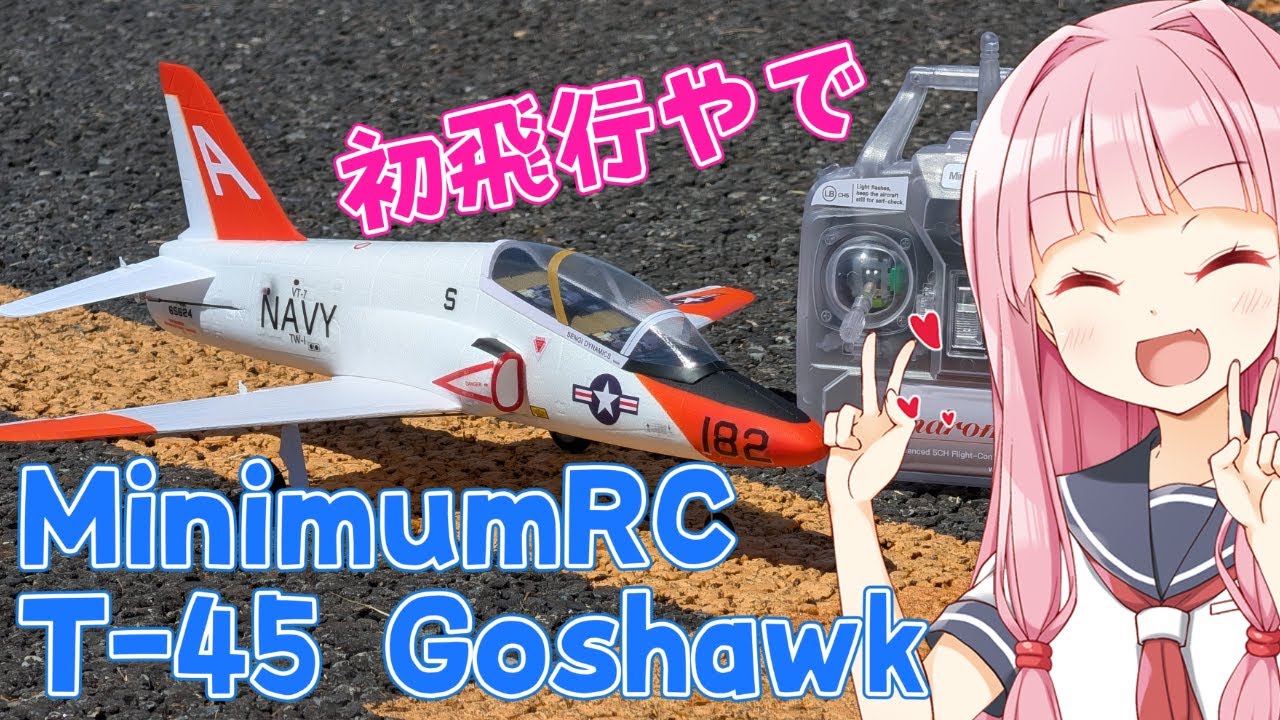MinimumRC T-45 Goshawk First Flight Radio Control Airplane - YouTube