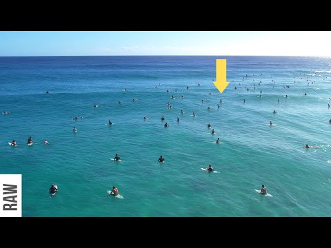 OMG! Navigating an Insane Crowd