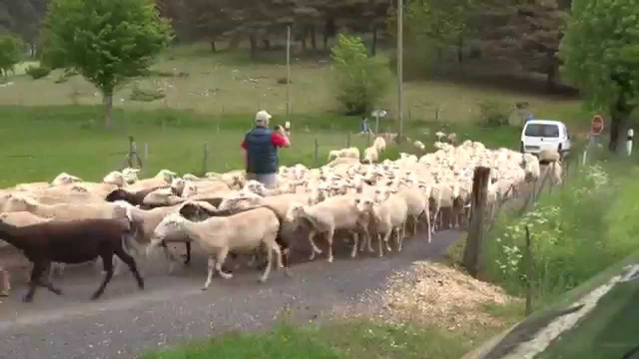 Land Of Forever 2002 YouTube