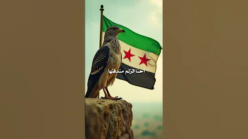 على الصقر لا تقر ب أبعد يا غراب 