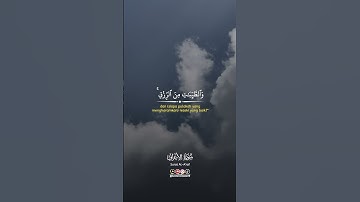 مقطع من سورة الأعراف #المصحف#قرآن. #اكسبلور  #لايك
