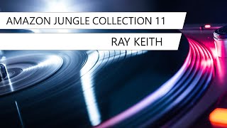 Download Lagu Ray Keith | Amazon Jungle Collection 11 | Old School Jungle | DJ Set | Visualisations | UK MP3
