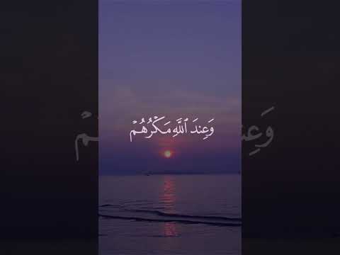 وقد مكروا مكرهم وعند الله مكرهم وإن كان مكرهم لتزول منه الجبال الشيخ السيد سعيد من سورة ابراهيم