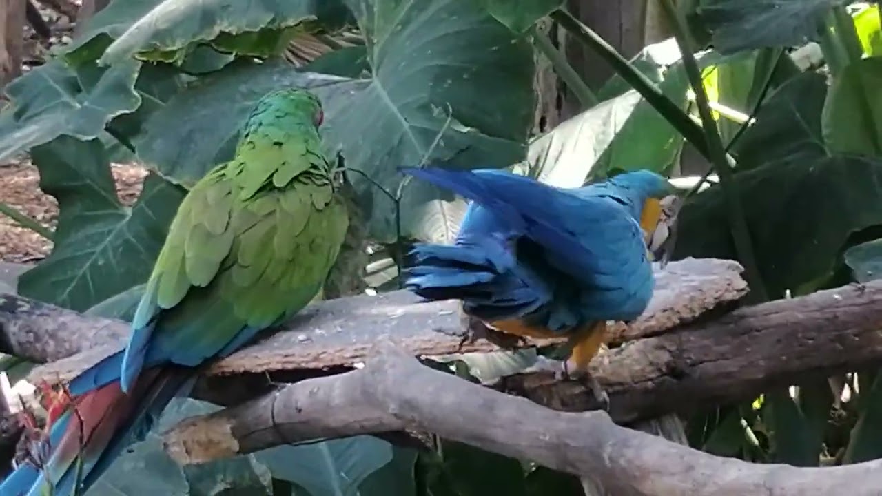 Parque agua azul de Guadalajara 