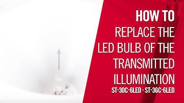 How to replace the transmitted illumination of the ST30C and ST36C LED models | by Motic Europe