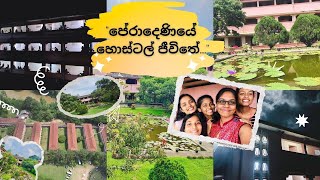 පේරාදෙණියේ හොස්ටල් ජීවිතේ  Hostel life in Sri Lanka | university of Peradeniya ❤