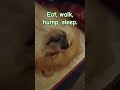 Napping is a must.