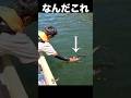 このバス釣りルアーさえあれば釣れる！関東メジャーバス釣りフィールド津久井湖で爆釣してるルアーはこれだ！ #バス釣り #釣り #魚釣り #fishing