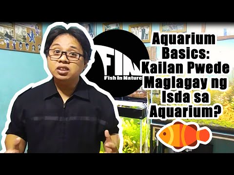 Video: Paano Kola Ang Mga Aquarium