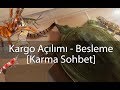 Paket Açılımı - Besleme VLOG / Agresif Kaplumbağa - Karidesler - Akrep vs.