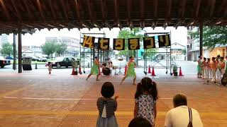 日本 バトン 協会 東海 支部