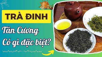 Trà Đinh Thái Nguyên Ở Xã Tân Cương Có Gì Đặc Biệt