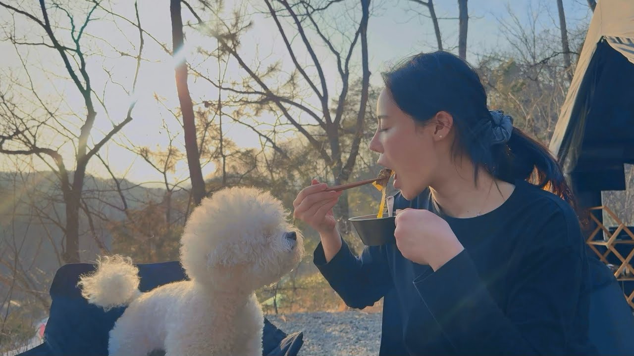 캠핑 vlog 봄 바람 가득 | 강원도 숲 속 캠핑장에서 강아지랑 힐링하기