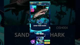 Cue Opening Sharks Card Packs Until I Get Salmon Shark