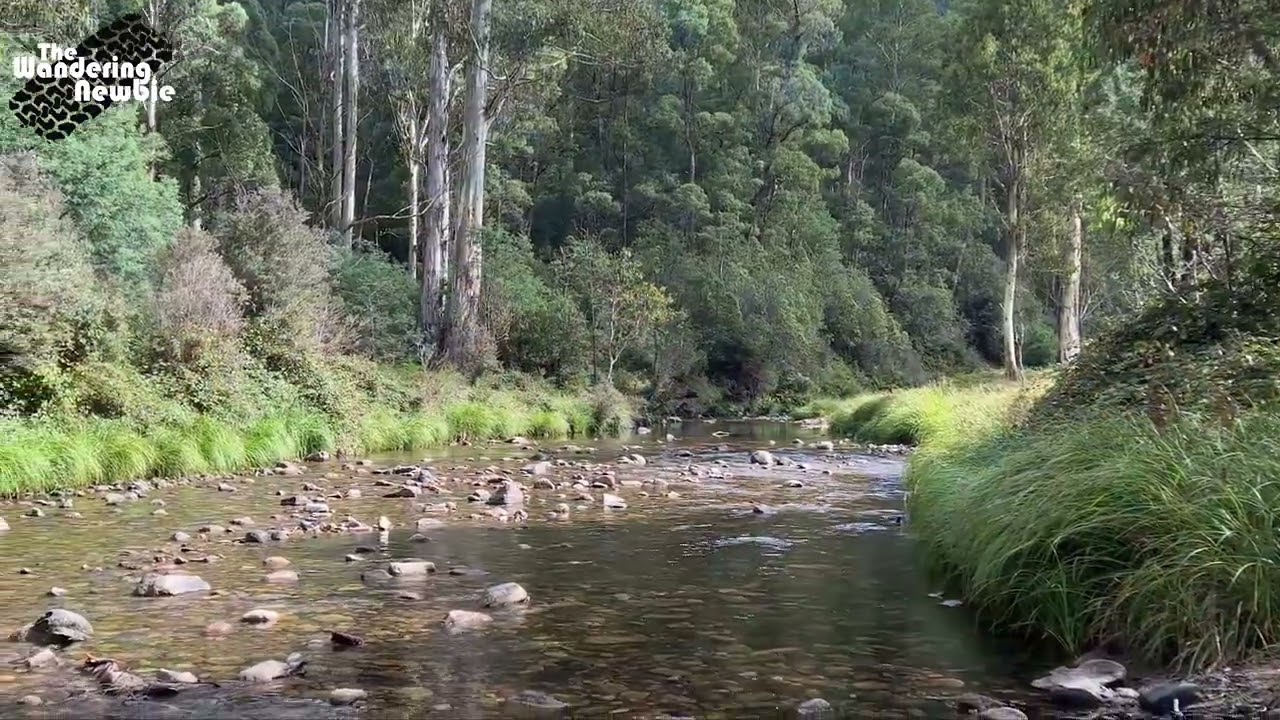 Pikes Flat Campground - Alpine NP - Victoria